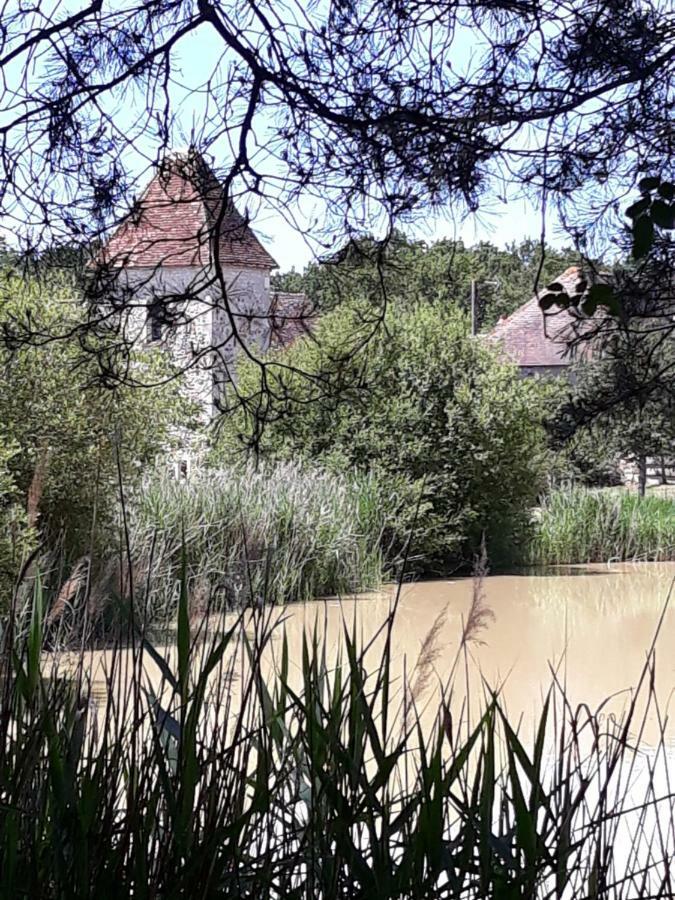 Hotel The Originals Le Manoir de Pierre Levée Tournon-Saint-Martin Esterno foto